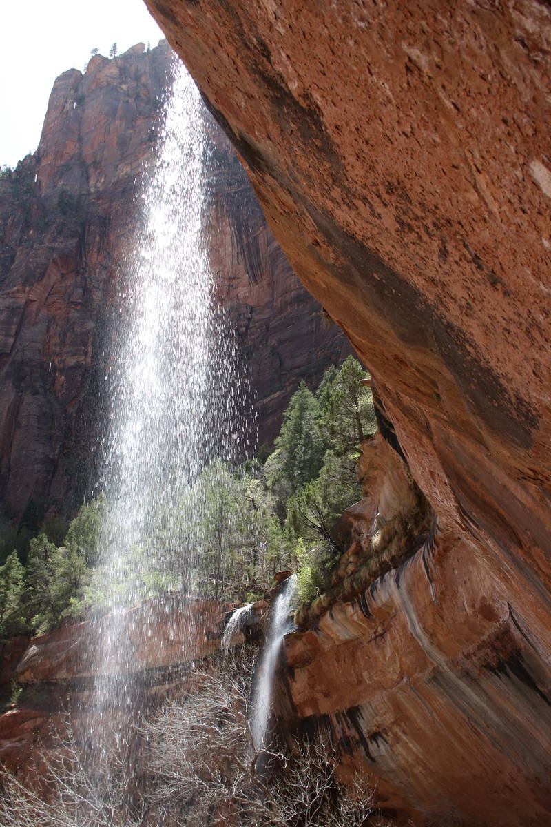 (Deborah Wall) With melting snow, spring brings new waterfalls in Zion National Park, Utah.