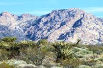 Boulder City A national monument is being proposed for Avi Kwa Ame, which means spirit mountai ...