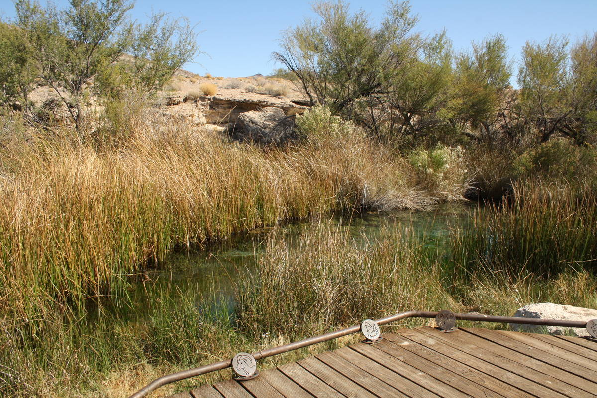The Kings Pool area at Point of Rocks is a great place to see wildlife and catch a glimpse of t ...