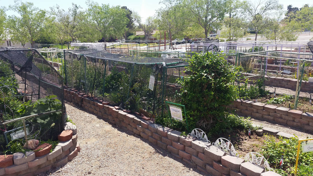 Boulder City's community gardens on Railroad Avenue will be showcased during a tour of local ga ...