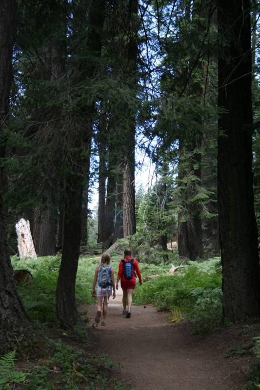 (Deborah Wall) There are more than 850 miles of hiking trails between the Sequoia and Kings Can ...