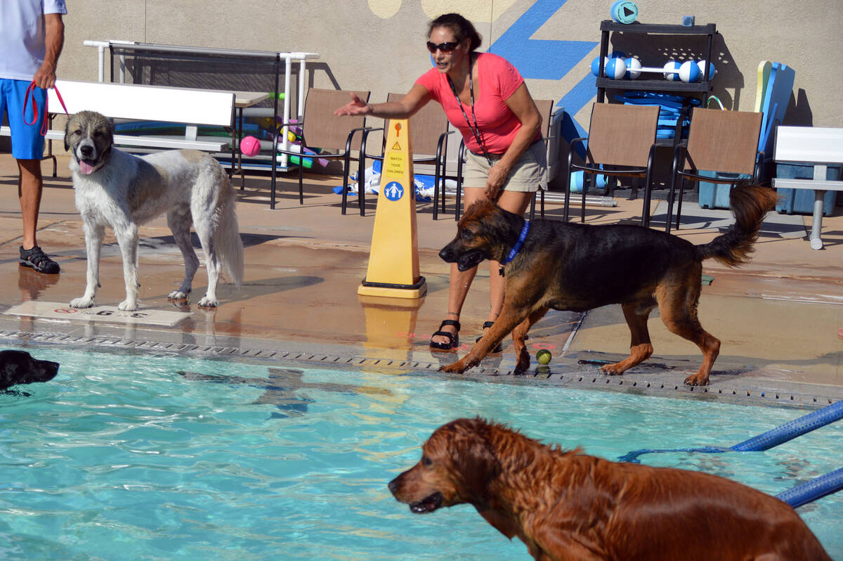 The annual Soggy Doggy Pool Pawty returns to the municipal pool Saturday, Sept. 25.