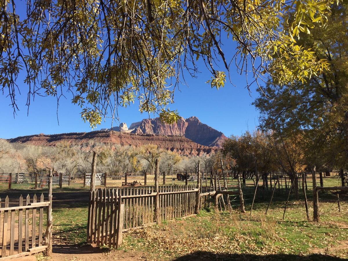 (Deborah Wall) Grafton has one of the best views of Zion’s Mount Kinesava in Utah.