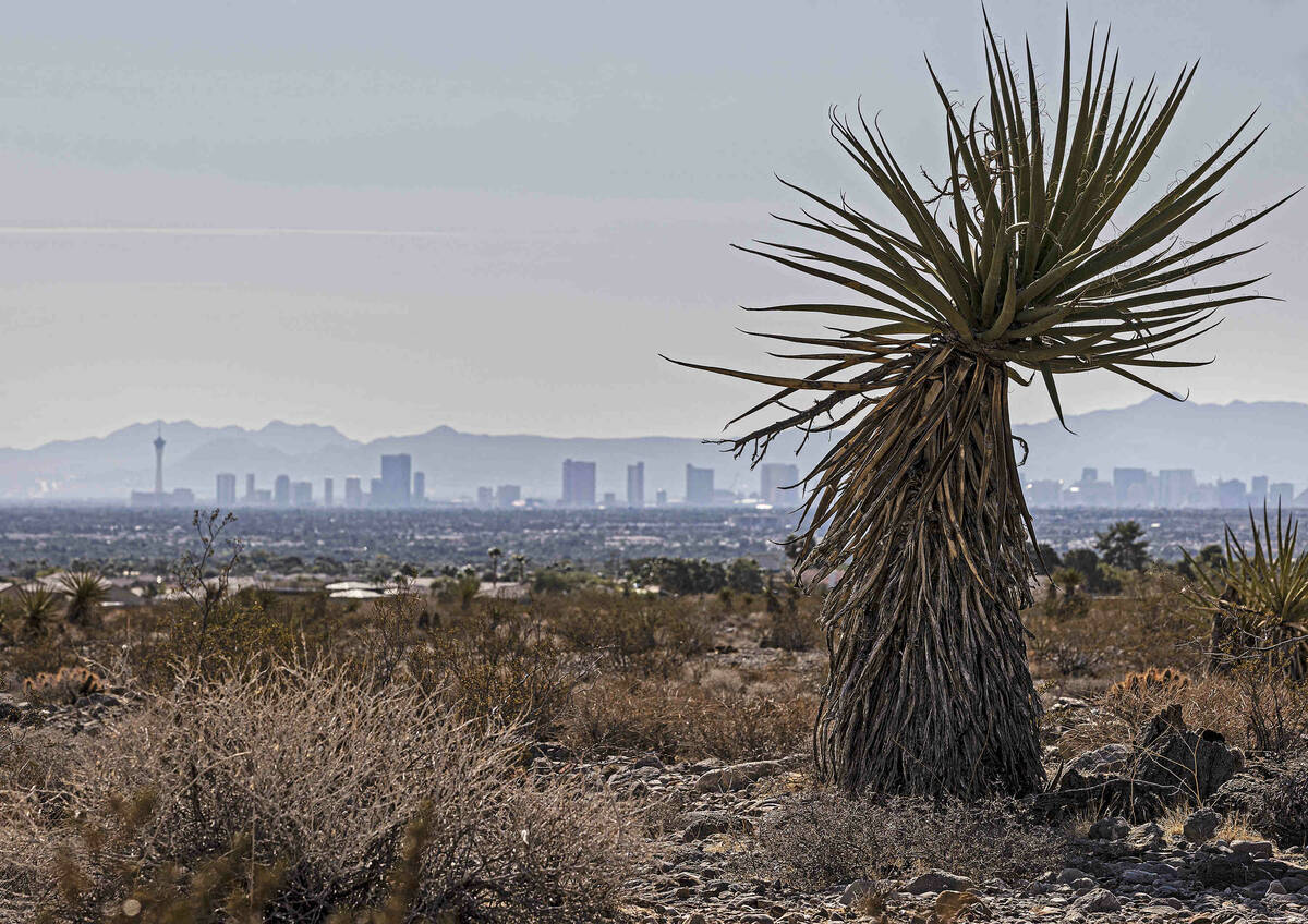 (Benjamin Hager/Special to the Boulder City Review) The Las Vegas skyline is seen from a dry, v ...