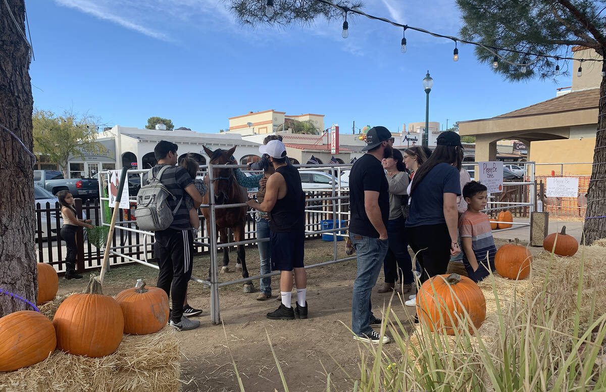 (Hali Bernstein Saylor/Boulder City Review) The Boulder City High School Rodeo Team hosted a pu ...