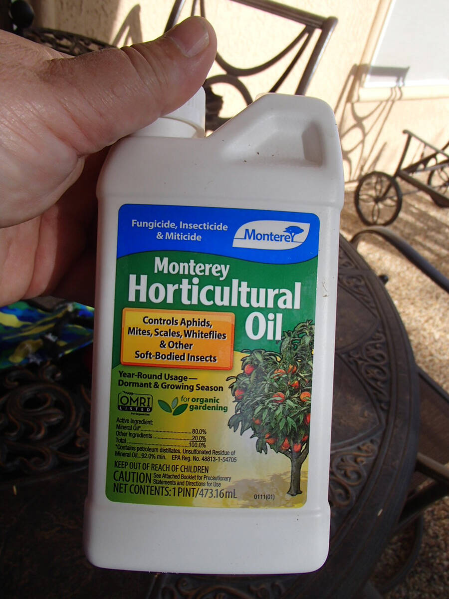 (Bob Morris) Use horticultural oil or dormant oil for winter applications to control insects.