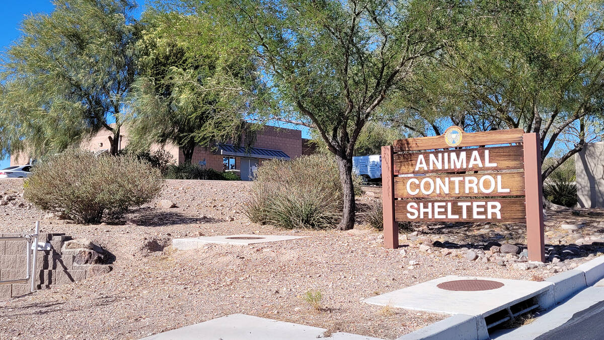 (Celia Shortt Goodyear/Boulder City Review) The remote location of the city’s animal con ...