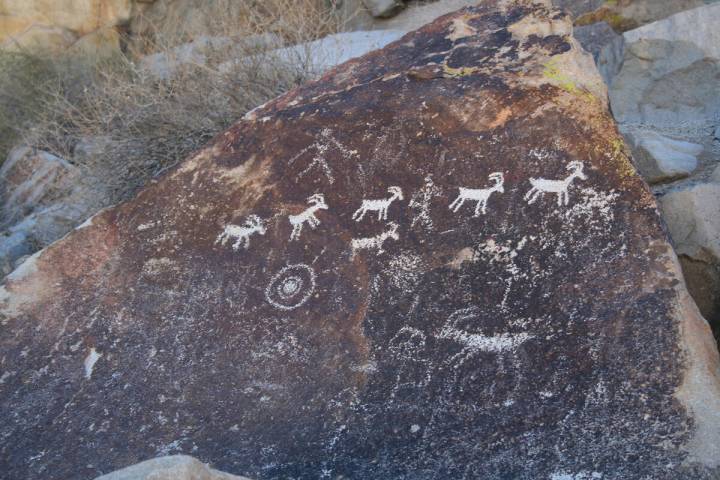 (Deborah Wall) This petroglyph panel in Lake Mead National Recreation Area’s Grapevine C ...