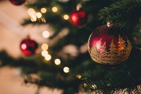 (Norma Vally) To ensure your Christmas tree stays green with firm branches throughout the holid ...
