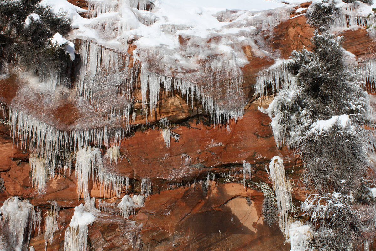 (Deborah Wall) Zion National Park’s many seeps and springs often freeze in the winter, t ...