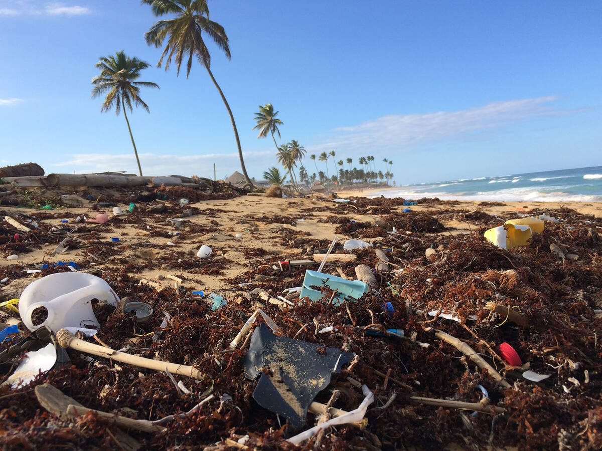 (Norma Vally) In Ivory Coast, West Africa, green trends are turning plastic pollution into cons ...