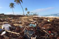 (Norma Vally) In Ivory Coast, West Africa, green trends are turning plastic pollution into cons ...