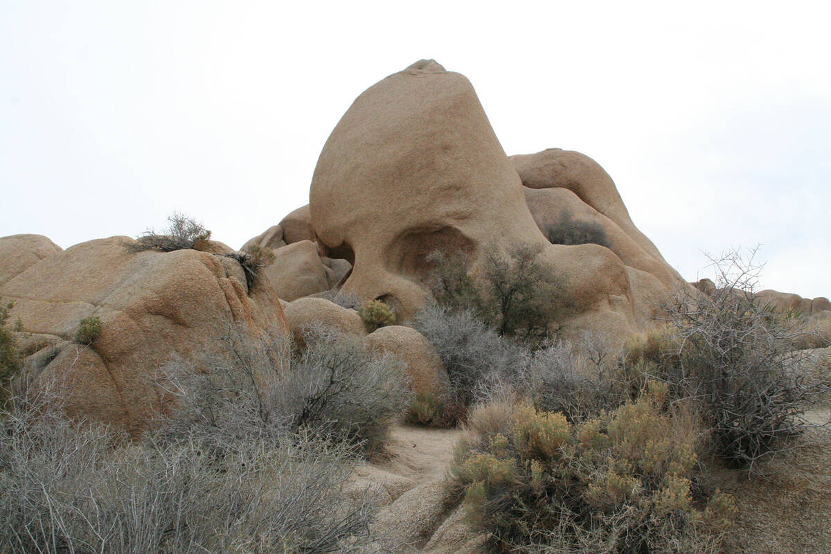 (Deborah Wall) What started as small depressions made by water, over time have eroded the grani ...