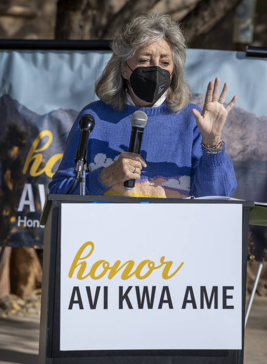 (L.E. Baskow/Las Vegas Review-Journal) U.S. Rep Dina Titus, seen in January at an event at the ...