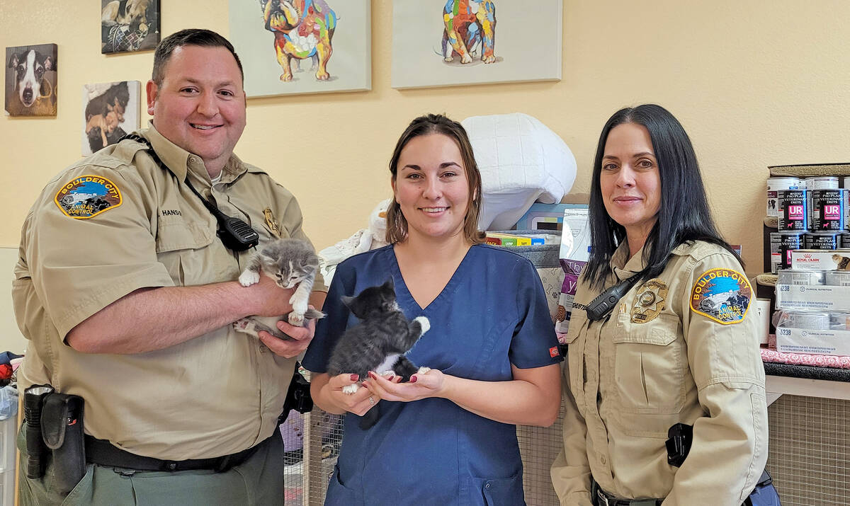 (Celia Shortt Goodyear/Boulder City Review) Staff from the Boulder City Animal Control departm ...