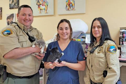 (Celia Shortt Goodyear/Boulder City Review) Staff from the Boulder City Animal Control departm ...