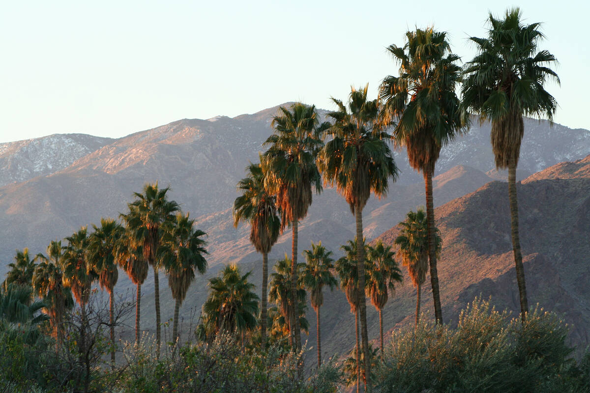 (Deborah Wall) Palm Springs, California, is an excellent destination for outdoor lovers. It off ...