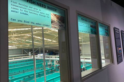 (Hali Bernstein Saylor/Boulder City Review) The newly remodeled Lake Mead Fish Hatchery Visitor ...