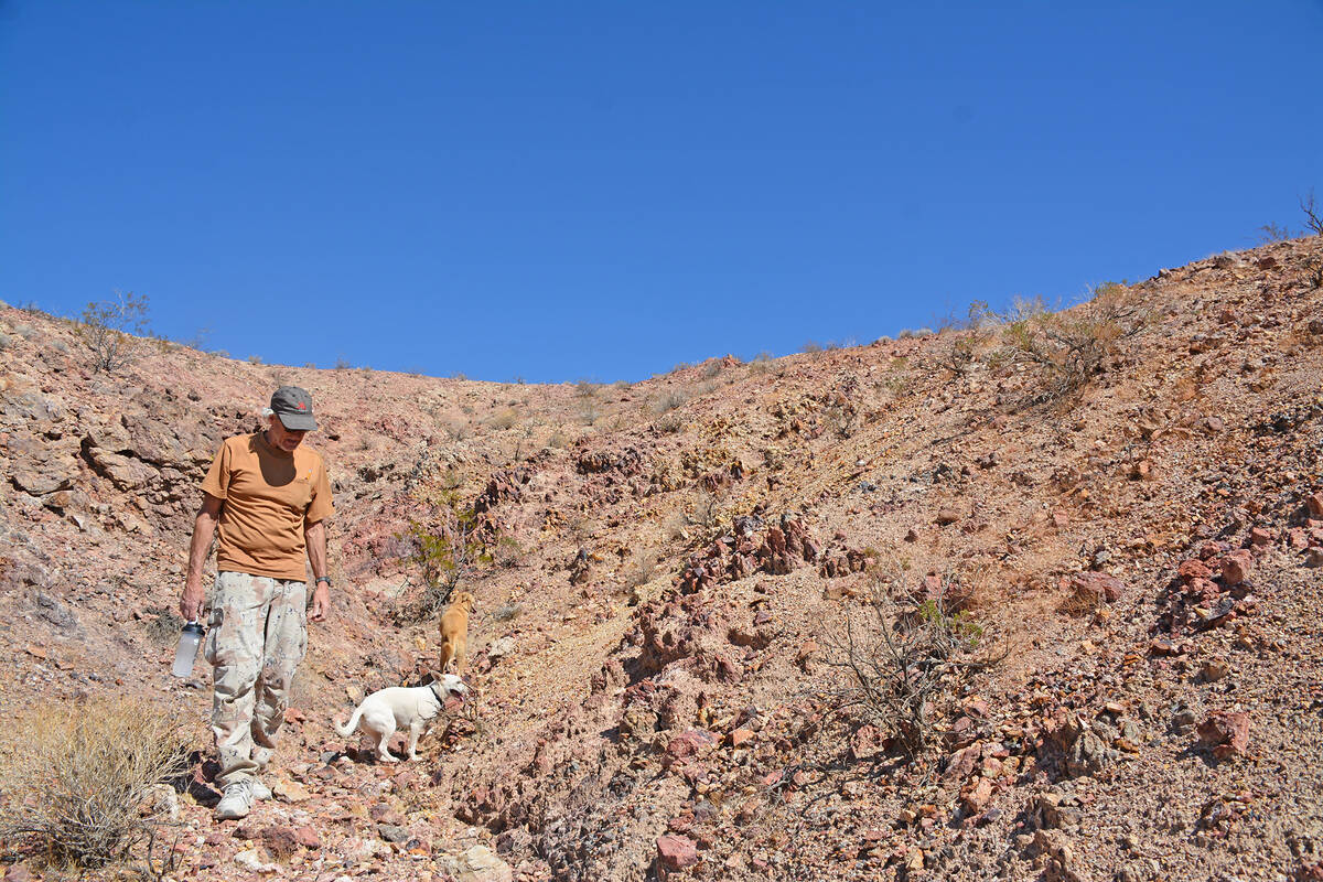 (Celia Shortt Goodyear/Boulder City Review) Charles Chaffee walks with his dogs, Luna and Sunny ...