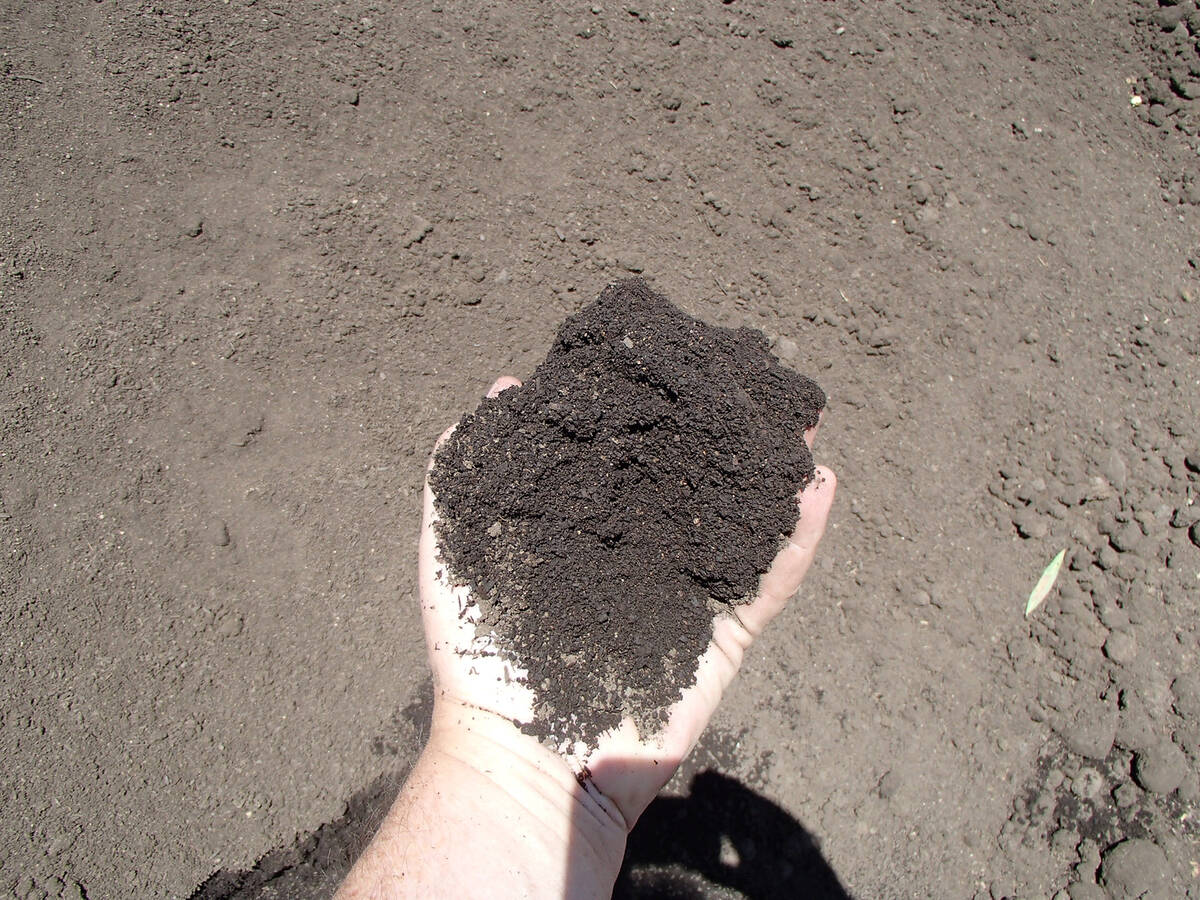 (Photo courtesy Bob Morris) The darker the soil, the more organic content it has. If it is the ...