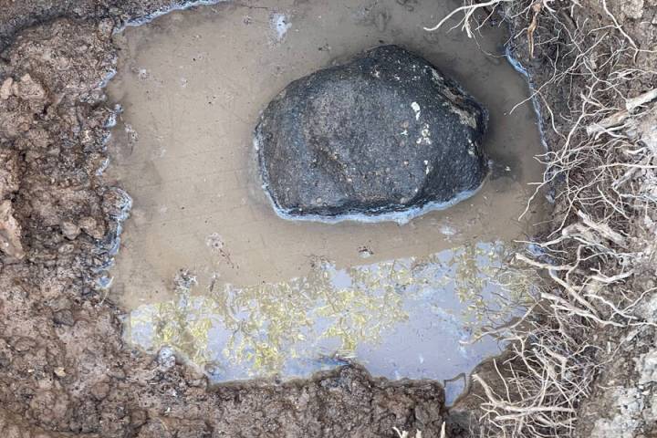 (Photo courtesy Bob Morris) Any rocks larger than a golf ball should be removed from the soil.