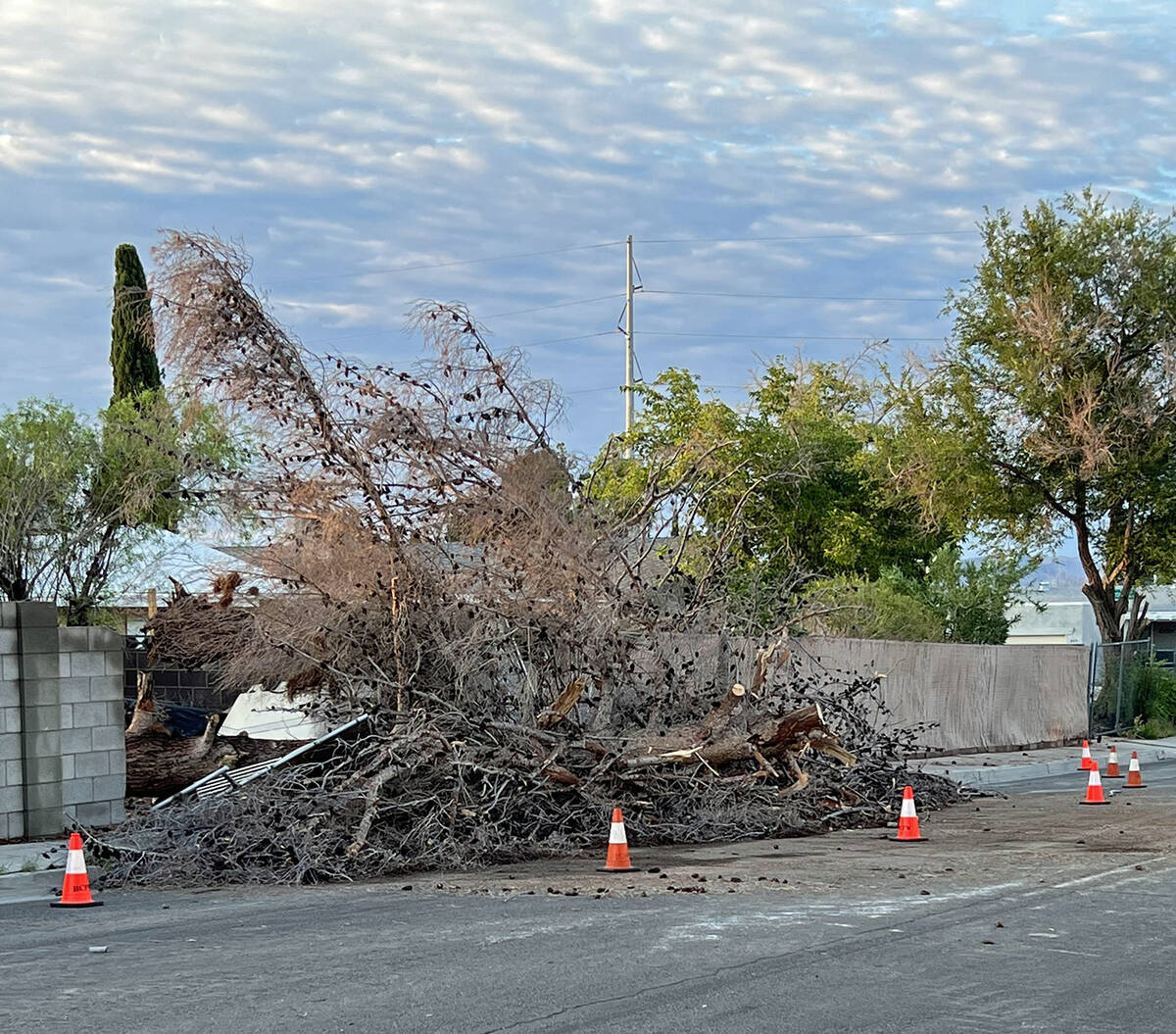 (Photo courtesy Jesus Velasquez) The thunderstorm July 28 brought down this tree and fence onto ...