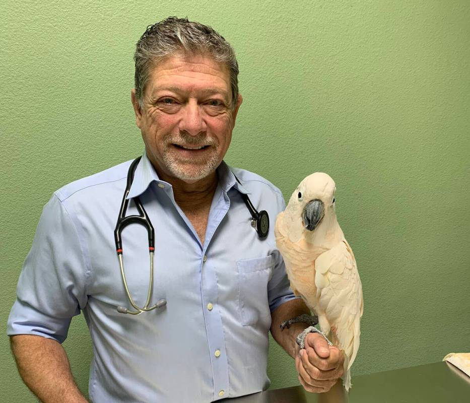 (Boulder City Review file photo) Dr. Dominic Cacioppo, who specializes in exotic animals and pr ...