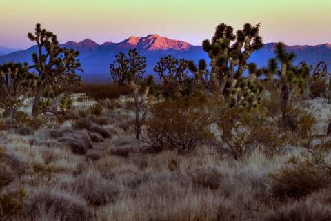 (L.E. Baskow/Las Vegas Review-Journal) Spirit Mountain known as Avi Kwa Ame near Searchlight, N ...