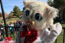 (Hali Bernstein Saylor/Boulder City Review) The mystery of how Jingle Cat, seen at Santa's Pict ...