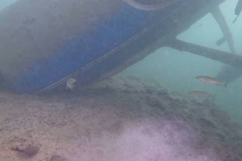 (Image courtesy Earth Resource Group) Fish swim around the wrecakge of a Cessna 182C that made ...