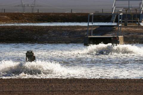 Currently, Boulder City sends its wastewater to evaporation ponds, but Mayor Joe Hardy, who too ...
