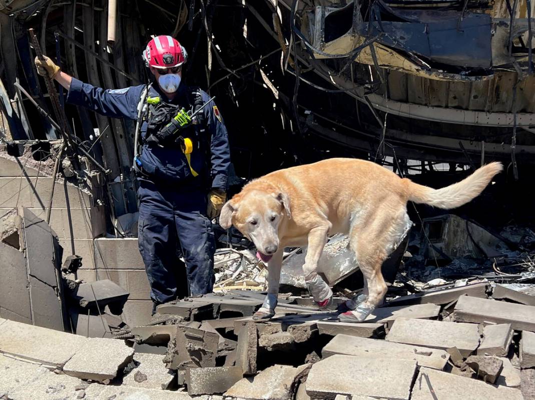 Photo courtesy Mike Porter with permission from FEMA Boulder City’s Mike Porter and his human ...