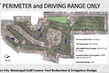 Courtesy of Boulder City The revised plan would remove much less turf but would not meet mandat ...