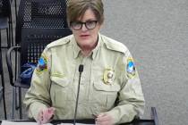 (Screenshot) Outgoing Animal Control Supervisor Ann Inabnitt addresses the city council on the ...