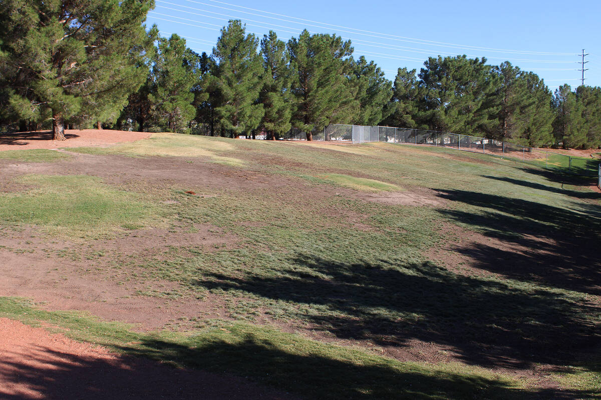 The renovations are slated to include new lighting as well as replacing the worn-out turf.