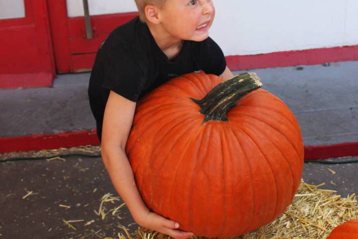 Ron Eland/Boulder City Review Six-year-old Karter Dunbar tried his best to lift this large pump ...