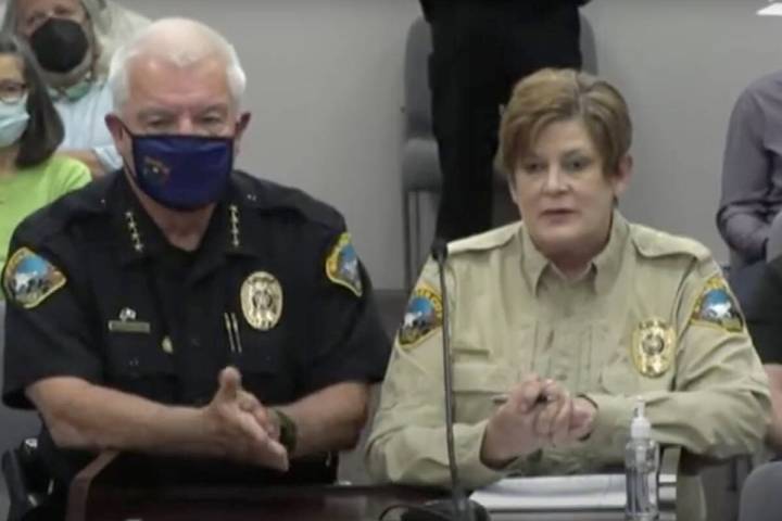 Screenshot Police Chief Tim Shea and Animal Control Supervisor Ann Inabnitt address the city co ...