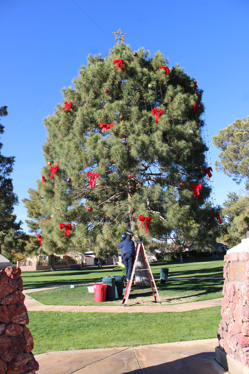 Ron Eland/Boulder City Review The community Christmas Tree, at Frank T. Crowe Park, will again ...