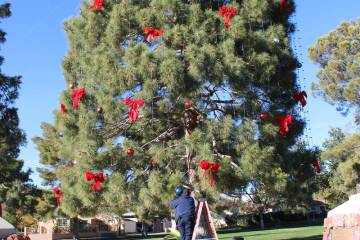 Ron Eland/Boulder City Review The community Christmas Tree, at Frank T. Crowe Park, will again ...