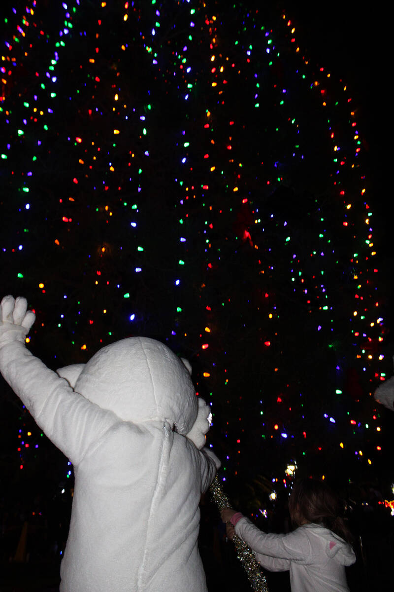 With the help of Jingle Cat, the Christmas Tree at Frank Crowe Park was officially lit Friday n ...