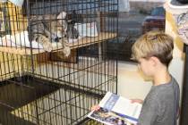 Photos by Ron Eland/Boulder City Review Max Hughes reads to an attentive cat last Friday at the ...