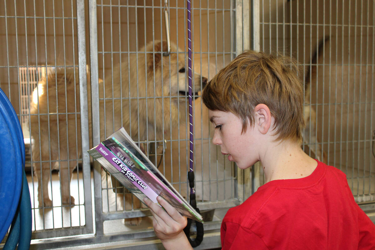 Eleven-year-old Travis Donohue reads to one of the dogs in the shelter.