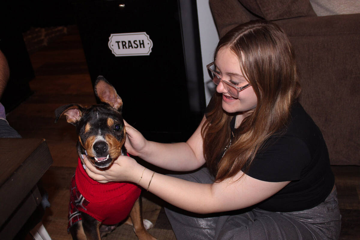 With a little help from Elizabeth Apsey, Seven shows off his new winter sweater.