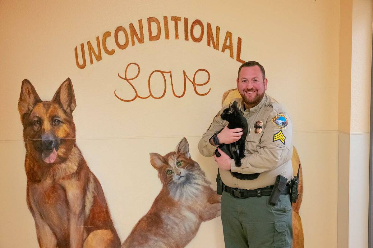 Ian Cruz/Boulder City Review Brendan Hanson smiles with Kourtney, the black cat who is availab ...