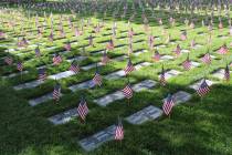 Ron Eland/Boulder City Review Saturday, as part of Memorial Day weekend, hundreds of volunteers ...