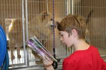Review file photo by Ron Eland Eleven-year-old Travis Donohue reads to one of the dogs in the B ...