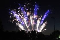 BCR file photos by Ron Eland Thousands turn out each year to Veterans Memorial Park for the fes ...