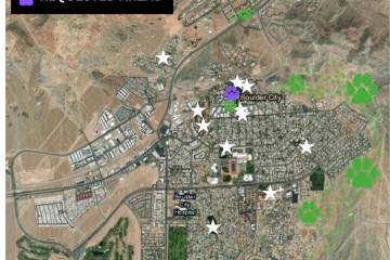 Courtesy image An overhead map provided by city staff showing areas recommended for off-leash d ...