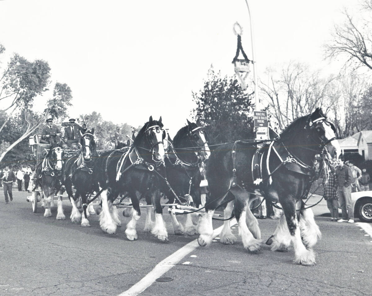 Photo courtesy Boulder City/Hoover Dam Museum This photo, taken by longtime Boulder City News E ...