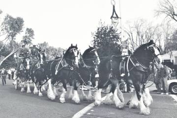 Photo courtesy Boulder City/Hoover Dam Museum This photo, taken by longtime Boulder City News E ...
